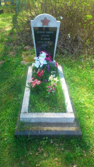 Памятник погибшим советским лётчикам. Деревня Колчино (кладбище)